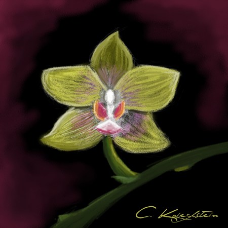 orchidee_dpainting
