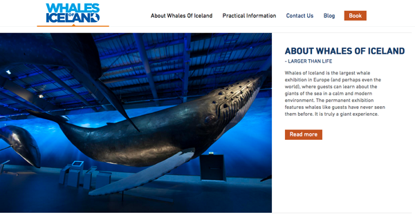 Walmuseum "Whales of Iceland" in Reykjavik